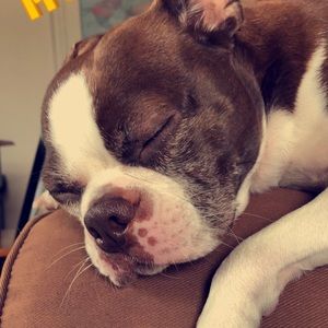 Meet your Posher, Kristina